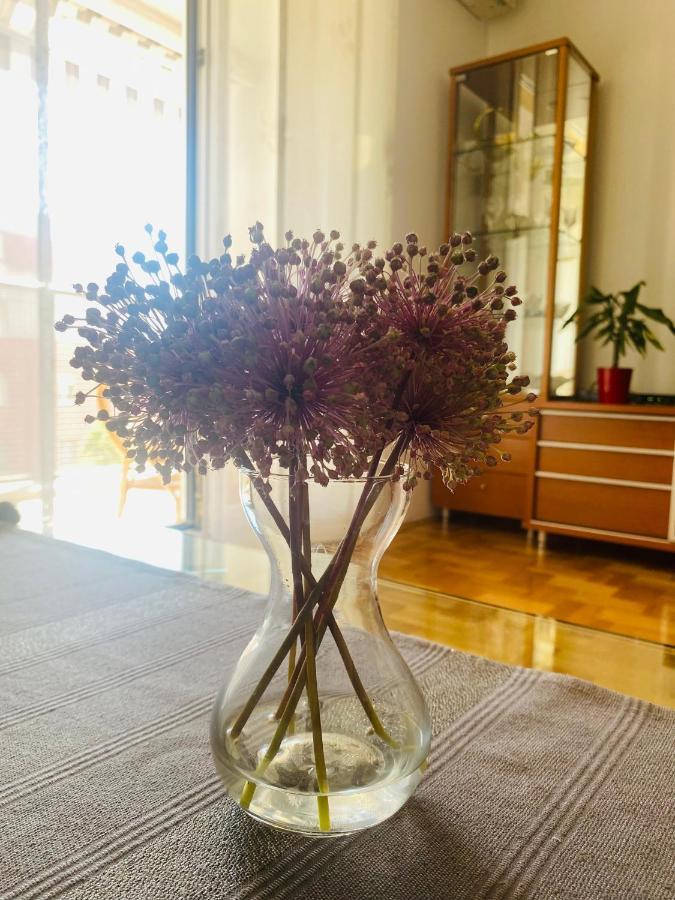 Paulina Apartman Split Kültér fotó